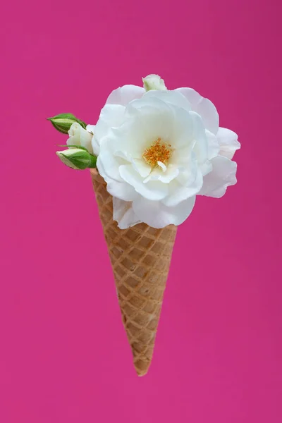 Ice Cream Waffle Cone Bouquet Summer Flowers White Roses Pink — Stock Photo, Image
