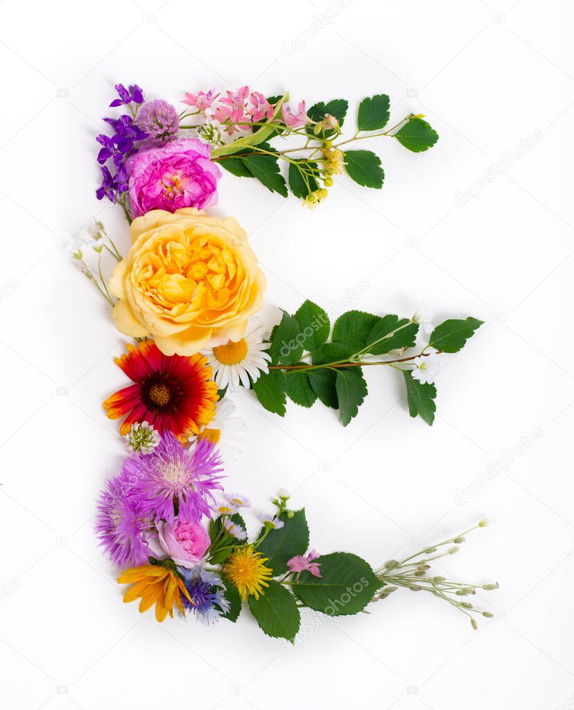Letter E, concept alphabet design. Floral summer font. Seasonal decorative beautiful type mades of different multi-colored blooming flowers and grass. Natural summertime print