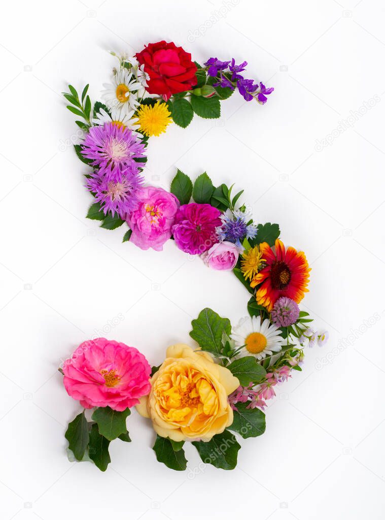 Floral summer font. Concept alphabet design, letter S. Seasonal decorative beautiful type mades of different multi-colored blooming flowers and grass. Natural summertime print