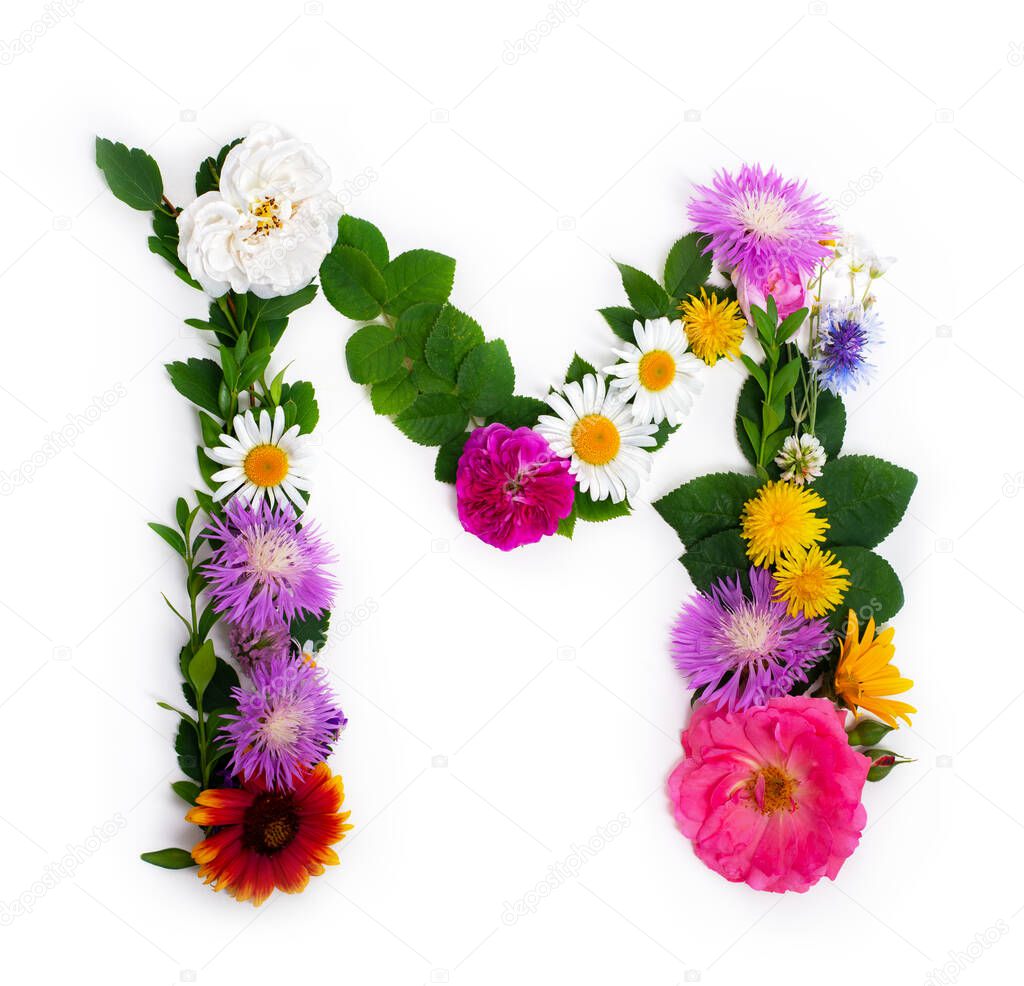 Letter M, concept alphabet design. Floral summer font. Seasonal decorative beautiful type mades of different multi-colored blooming flowers and grass. Natural summertime print