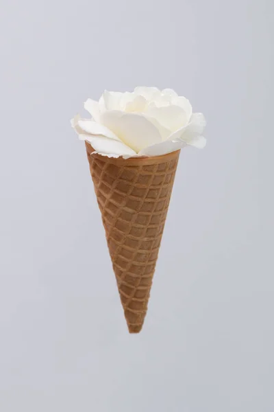 Ice Cream Waffle Cone Fresh White Rose Flower Isolated Diet — Stock Photo, Image
