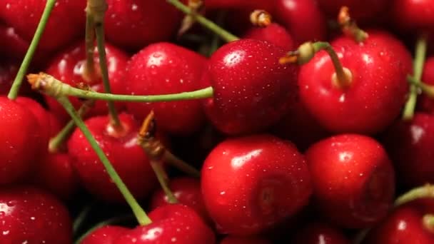 Ripe cherries — Stock Video