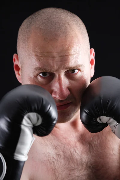 Portrait of a male boxer — Stock Photo, Image