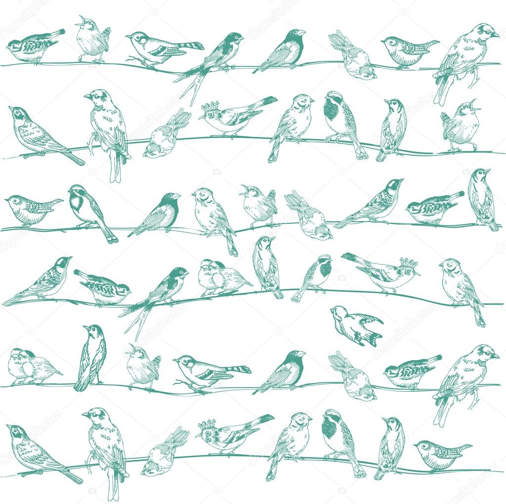 Birds Seamless Background - for design and scrapbook - in vector