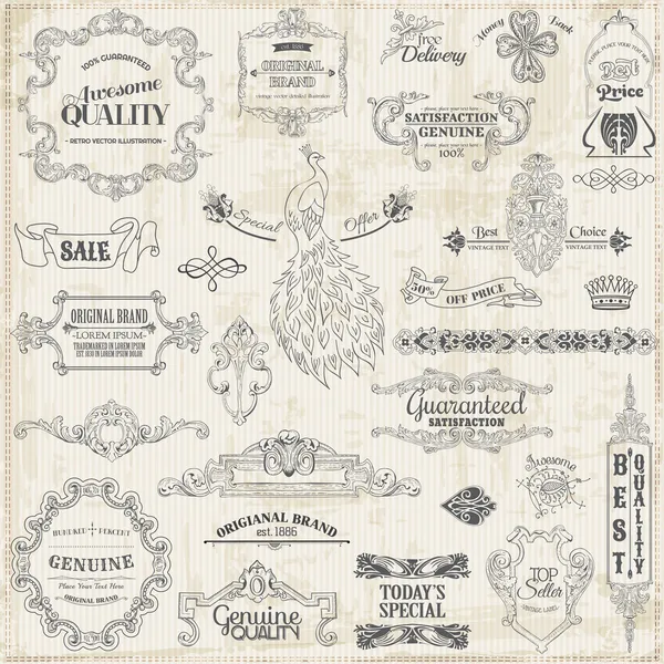 vector set: kaligrafik tasarım öğeleri ve sayfa dekorasyon, vi