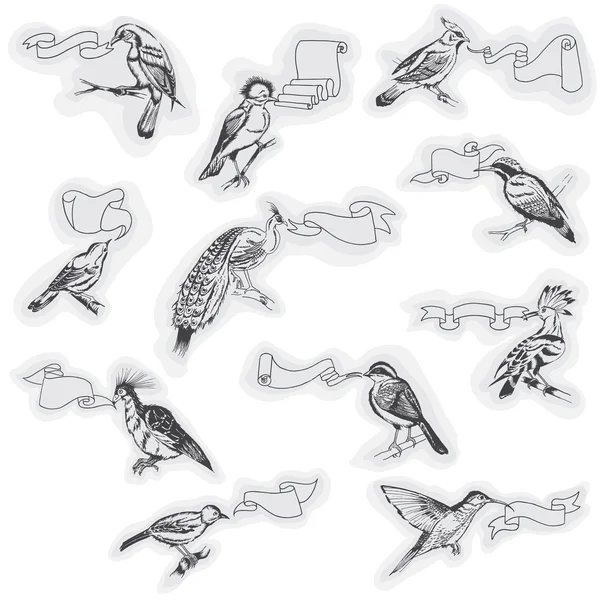 Ručně tažené ptáky s příznaky - design a scrapbook — Stockový vektor