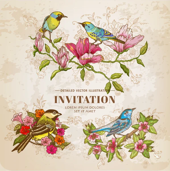 Set of Vintage Flowers and Birds - hand-drawn Illustration — Stock Illustration Set of Vintage Flowers and Birds - hand-drawn Illustration Stock Vector