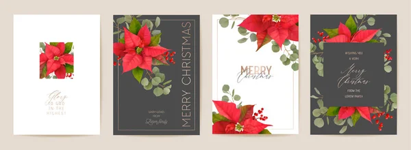 Poinsettia Realistic Vector Christmas Card Set, Floral Happy New Year Illustration. Set di design telaio vischio — Vettoriale Stock