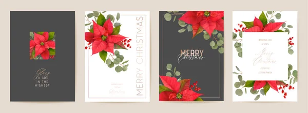 Elegante Frohe Weihnachten und Neujahr Karten mit Weihnachtsstern realistische Blumen, Mistel — Stockvektor