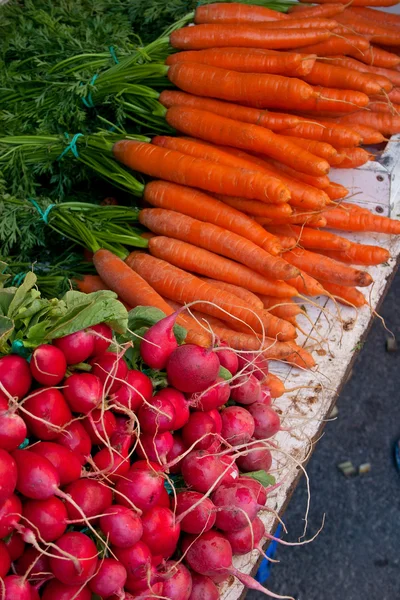 Carrot and Radish — Stock Photo, Image