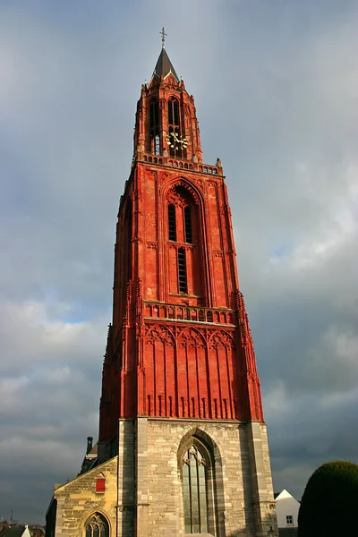 그만 Basiliek 마스트리히트 — 스톡 사진