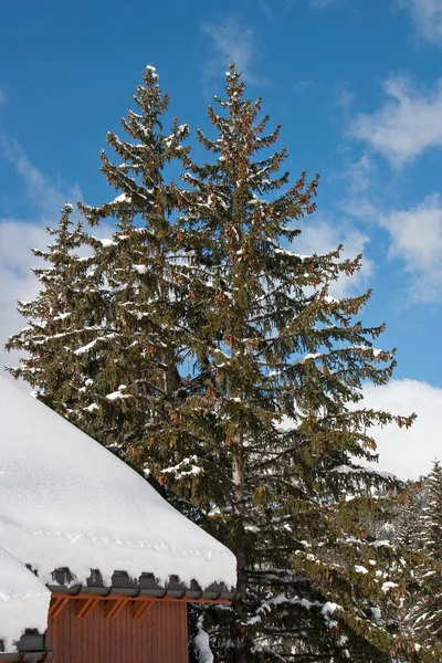 Alpler'de kış - 5 — Stok fotoğraf