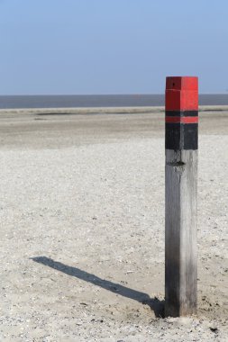 ahşap texel - 2 kutup