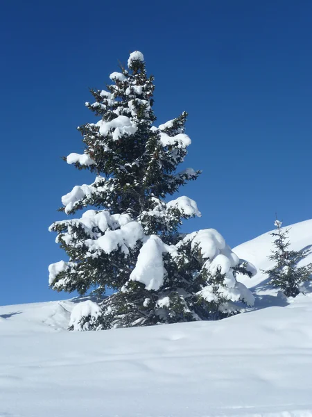 Alps in winter - 07 — Stock Photo, Image