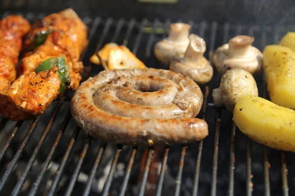 Carne de barbacoa - 02 — Foto de Stock