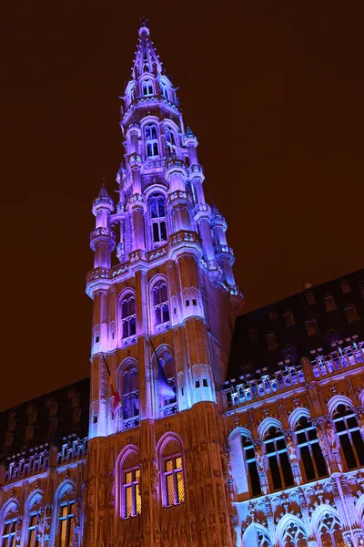 Bruxelles Meraviglie invernali - 06 — Foto Stock