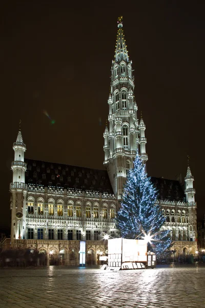 Merveilles hivernales de Bruxelles - 08 — Photo