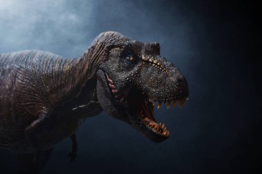 Dinozor, Tyrannosaurus Rex karanlık arka planda
