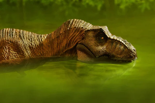 Dinoszaurusz Renderelés Tyrannosaurus Rex Úszás — Stock Fotó