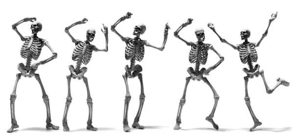 Uppsättning Mänskliga Skelett Isolerad Vit Bakgrund — Stockfoto