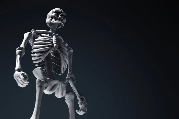 Ανθρώπινος Σκελετός Σκούρο Φόντο — Φωτογραφία Αρχείου