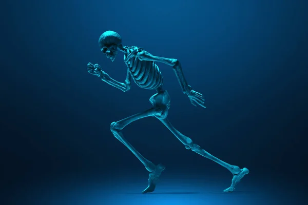 Human skeleton running on dark background