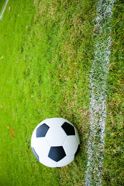 Ball in grass. — Stock Photo, Image