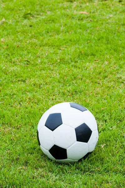Piłka na trawie. — Zdjęcie stockowe