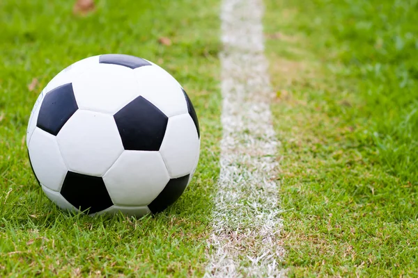 Ball in grass. — Stock Photo, Image