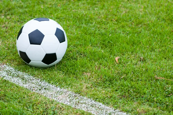 Ball in grass. — Stock Photo, Image