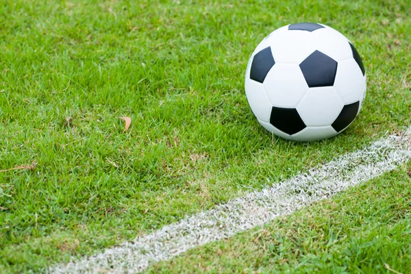 Ball in grass. — Stock Photo, Image