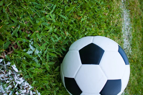 Ball in grass. — Stock Photo, Image