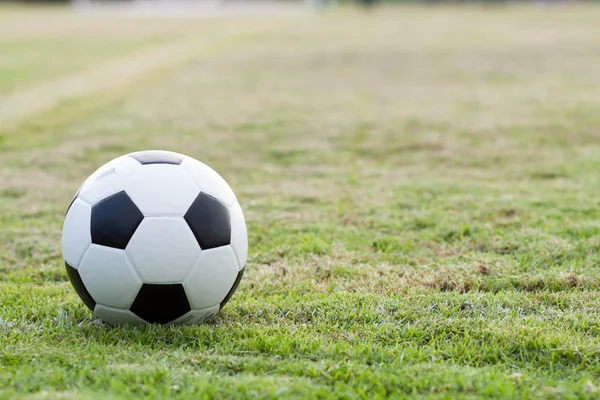 Ball in grass. — Stock Photo, Image