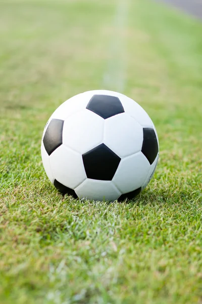 Ball in grass. — Stock Photo, Image