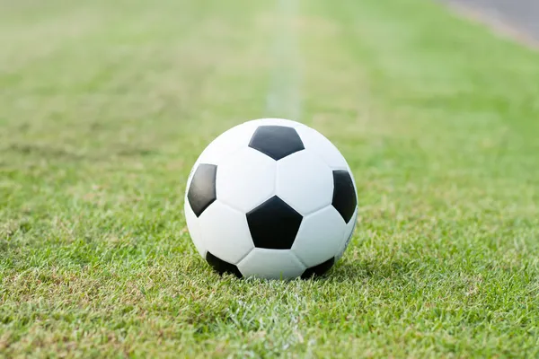 Ball in grass. — Stock Photo, Image