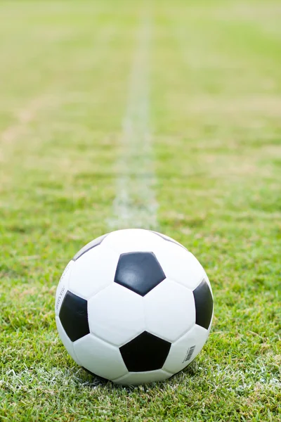 Ball in grass. — Stock Photo, Image