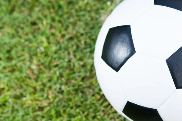 Ball in grass. — Stock Photo, Image