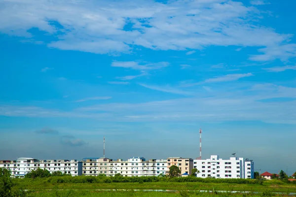 Condos a louky. — Stock fotografie