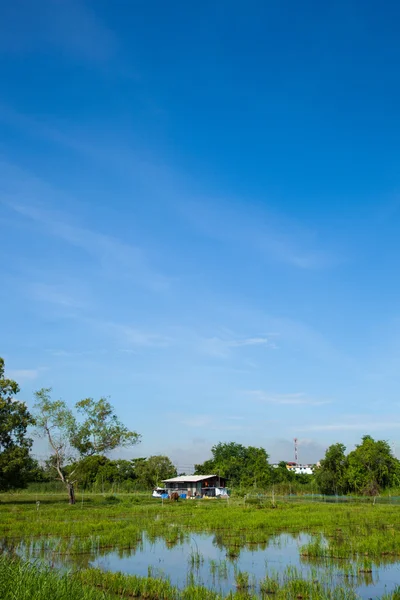 Ferienhaus auf einer Wiese. — Stockfoto