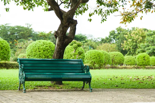 Panca sotto un albero. — Foto Stock