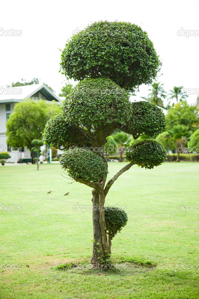 Tree decorations.