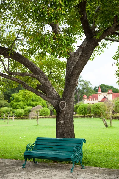 Bench onder een boom. — Stockfoto