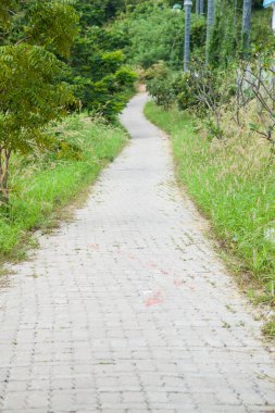 dağdan aşağı yönlü.