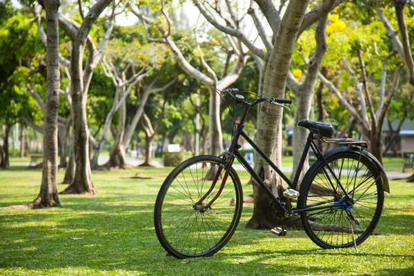 Old bicycle in the park. — Stock Photo, Image