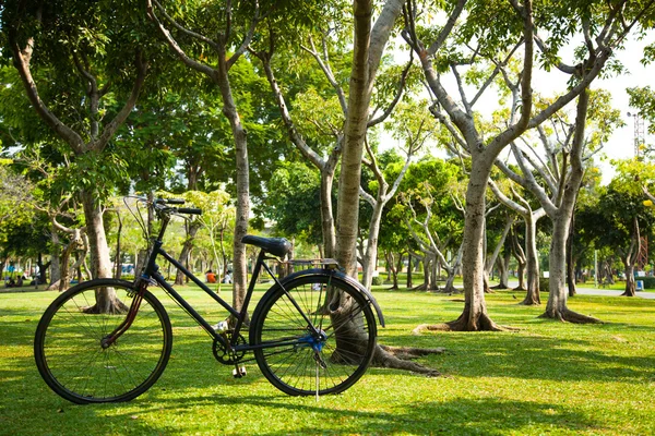 Old bicycle in the park. — Stock Photo, Image