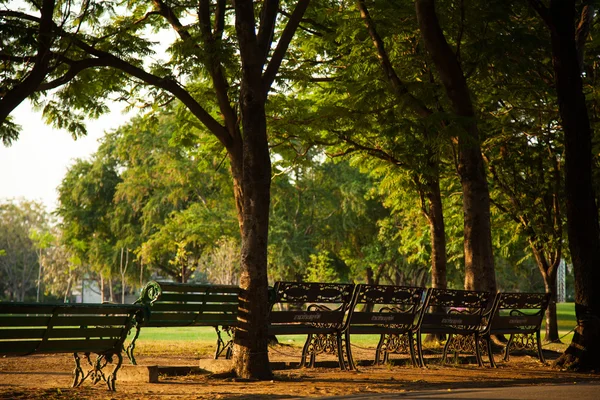 Banco no parque. — Fotografia de Stock