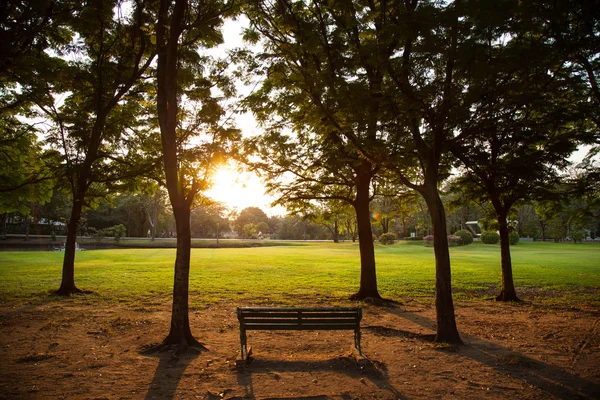 Panchina nel parco. — Foto Stock