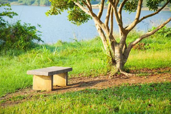 Banco bajo un árbol . —  Fotos de Stock