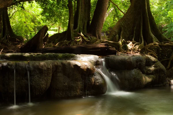 Waterfall in nature. — Stock Photo, Image