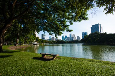 Bench on the lawn.
